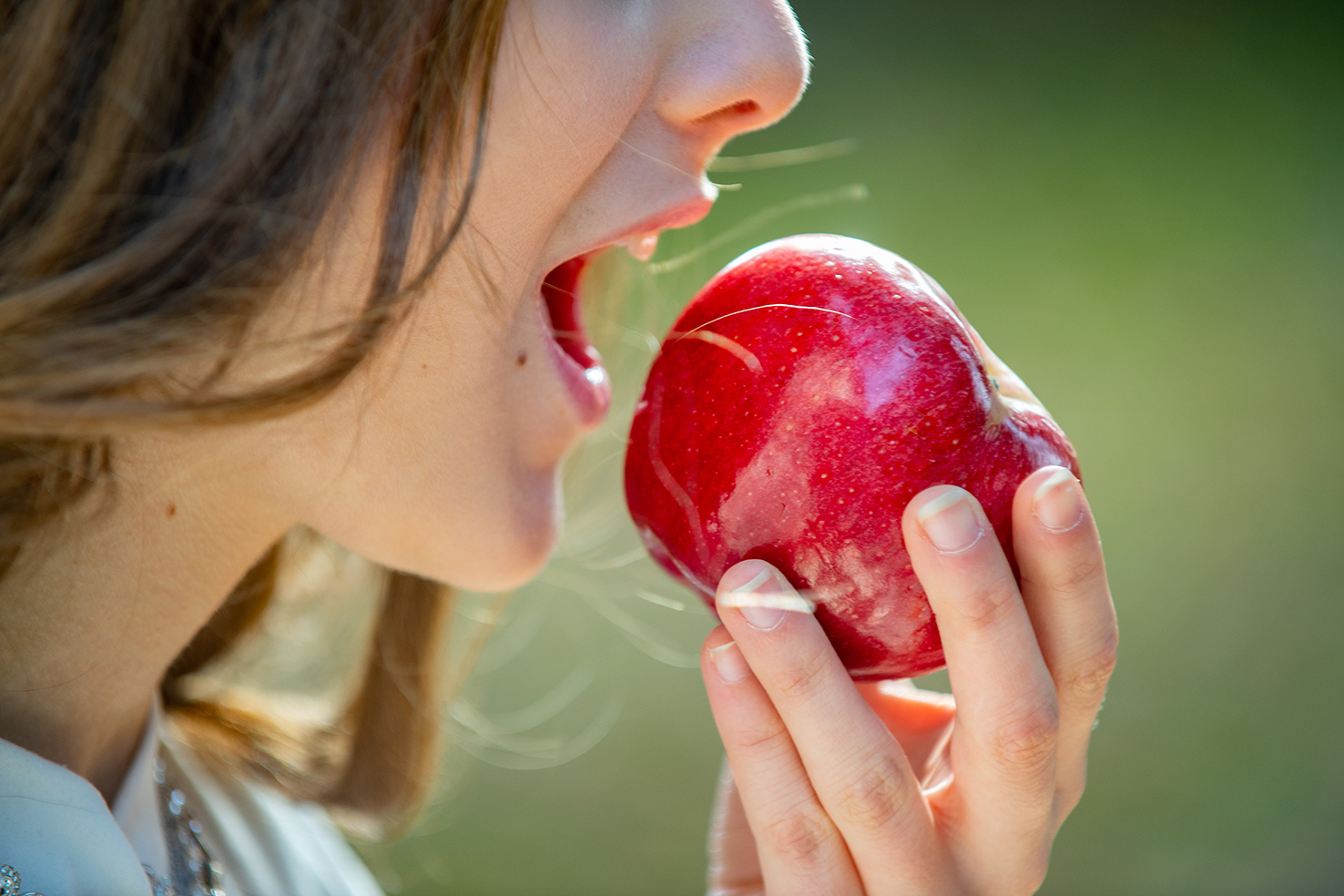 Holistic health